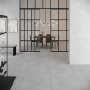 Moderno Silver Indoor Porcelain Tile