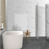 Venato Polished Indoor Porcelain Tile